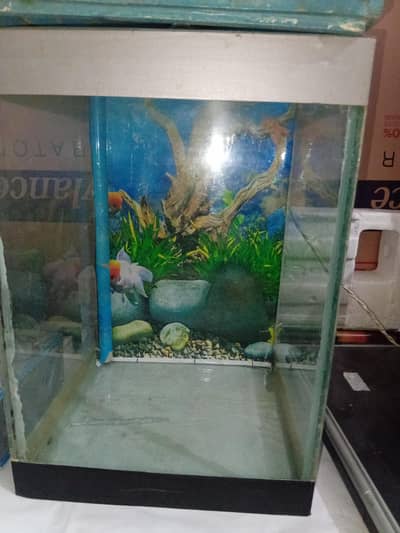 AqAquarium for Sale