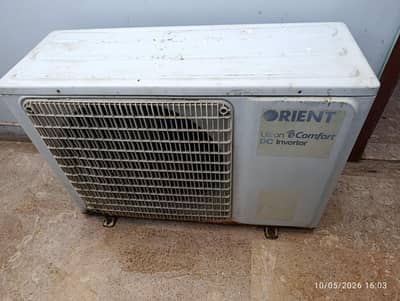 orient Ultron ecomfort goldfin