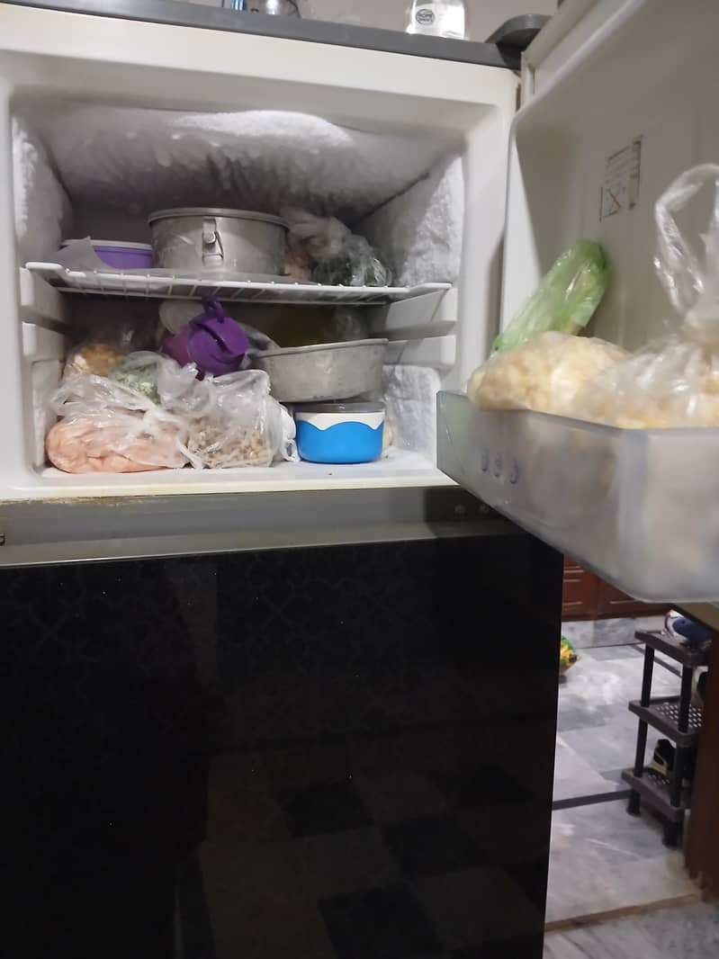 fridge 2