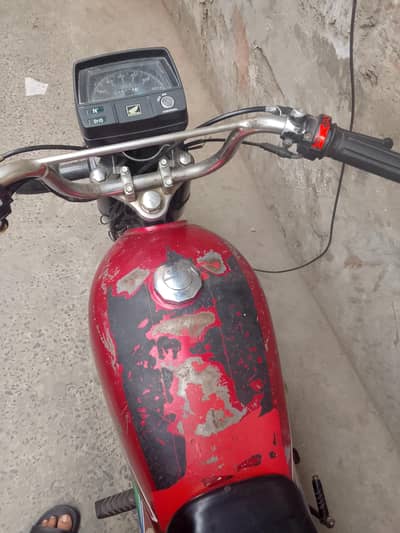 bikul fit hai