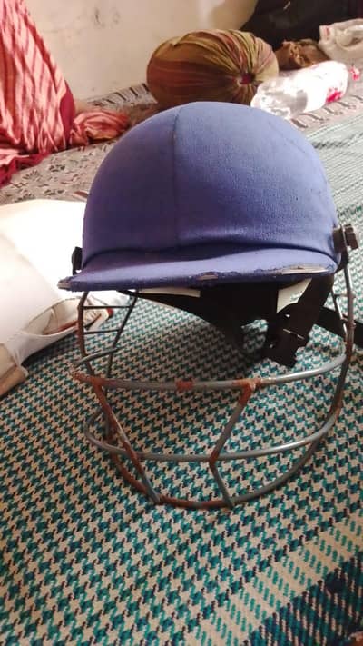 cricket pad or helmet