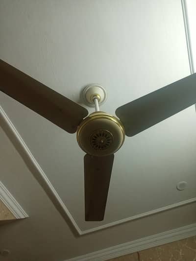 Ceiling fan