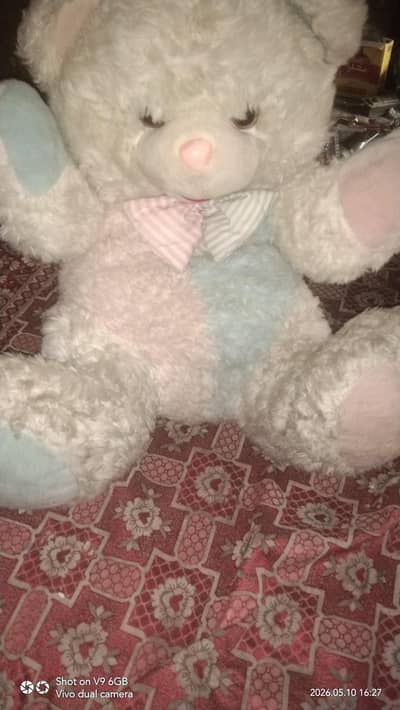 A big tady Bear 