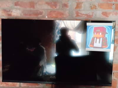 Smart LED MULTYNET 43inch
