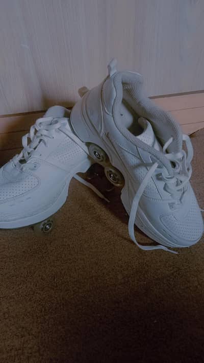 2 in 1 skating shoes