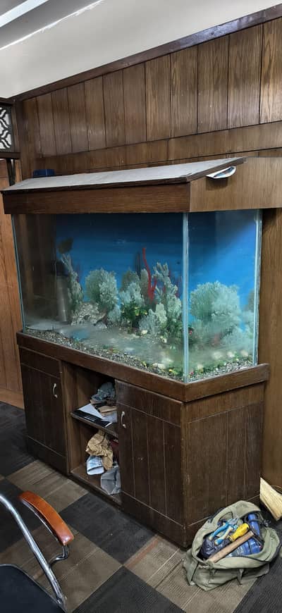 Fish Aquarium