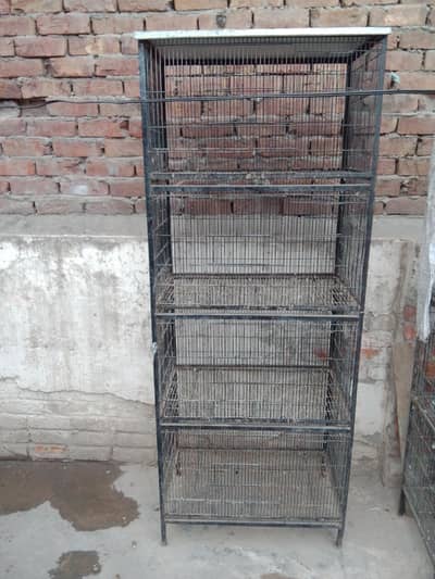 iron cage