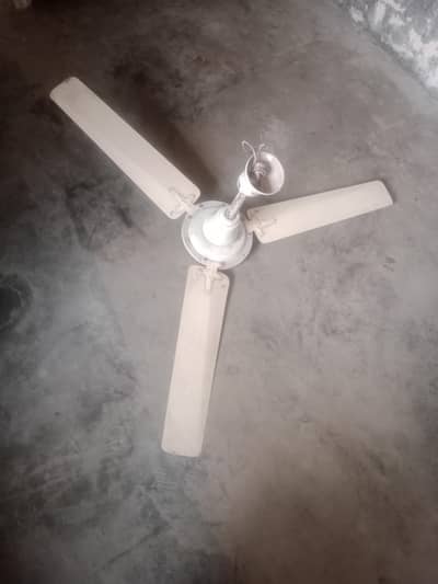 Fan available