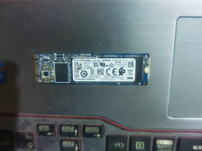 256GB M2 SSD