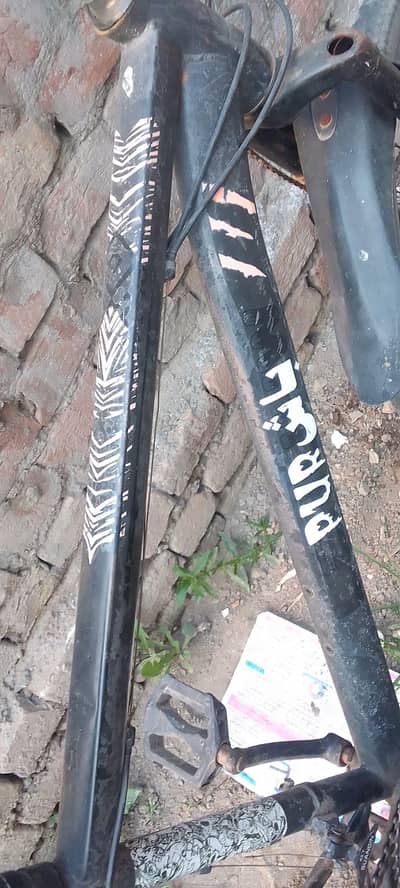 gear sycle new