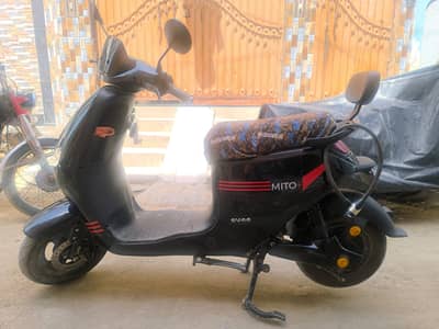 Evee - Mito Plus