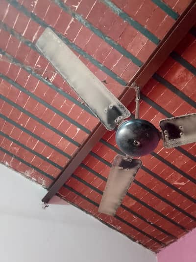 ceiling fan