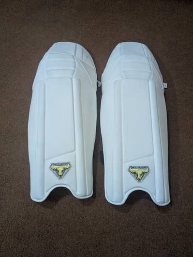 Brand new cricket adults batting pads large size for sale