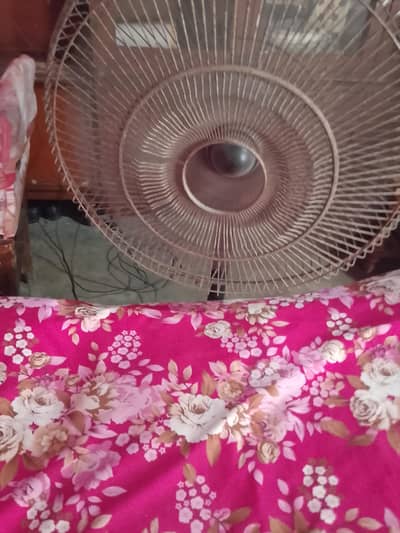 pedestal fan