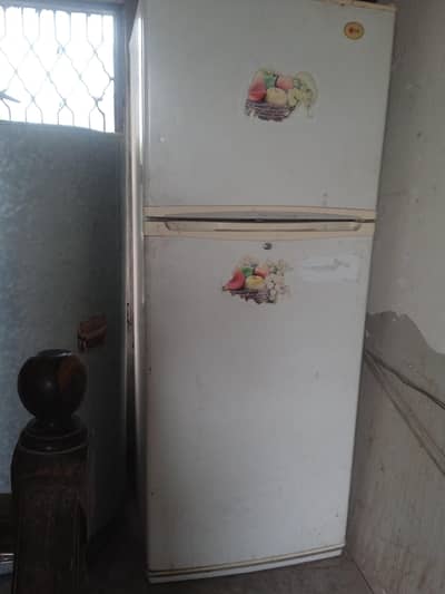 lg fridge