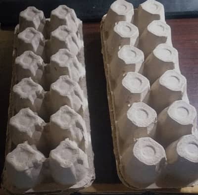 Eggs pack 12 pcs cupboard pulp packing