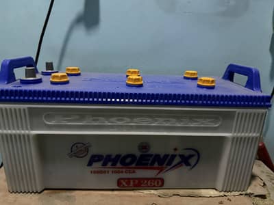 Phoenix