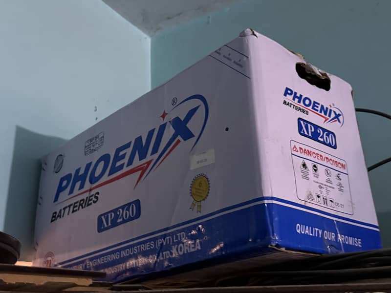 Phoenix 5