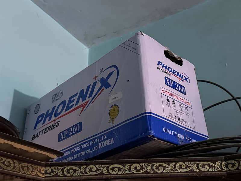 Phoenix 9