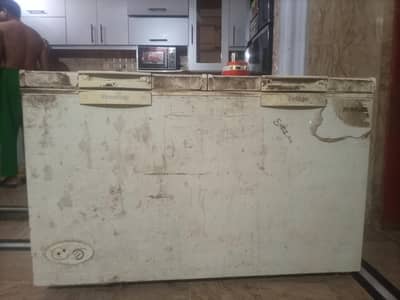 White Haier Fridge + Freezer double door