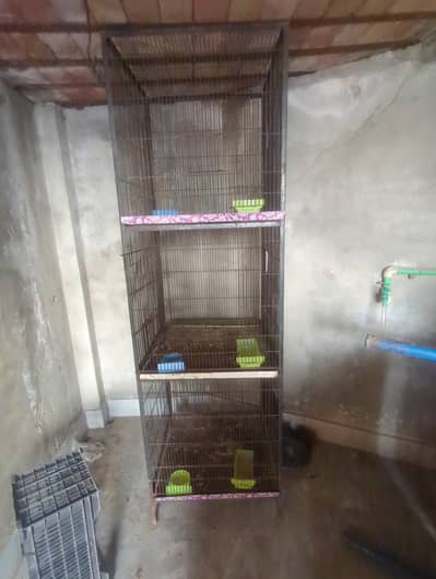 cage ha yar birds ka 3 kahny wala