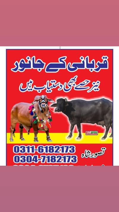 قربانی کے جانور اور ان کے حصوں کے لیے