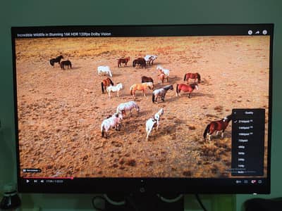 LED Monitor 27 Inches