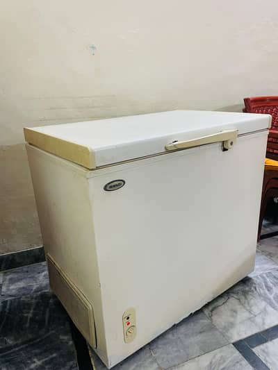 waves deep freezer