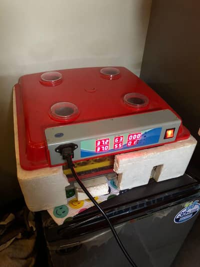 56 egg automatic incubator
