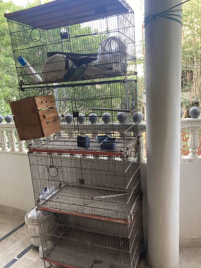 4 portion cage pinjra