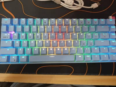 TKL 75% mechanical keyboard tri mode connectivity