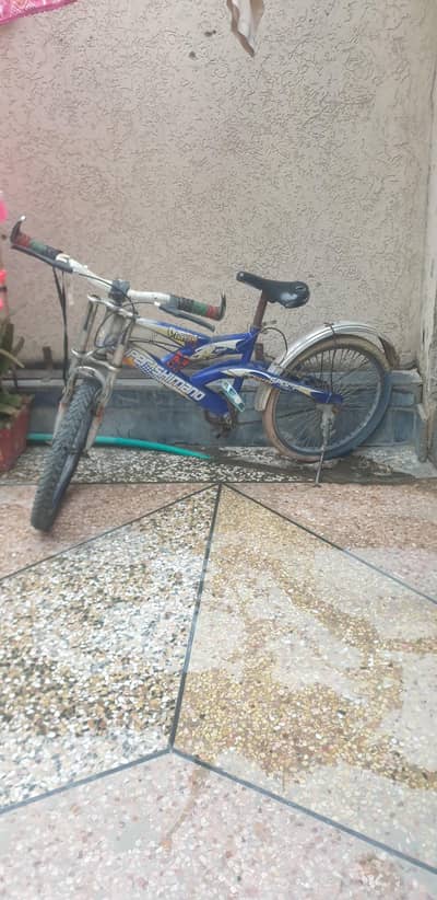 2nd hand bicycle for sale.