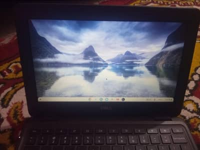 dell Chromebook 3100 urjent sale come fast