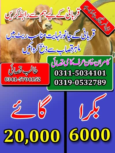 Eid UL azha