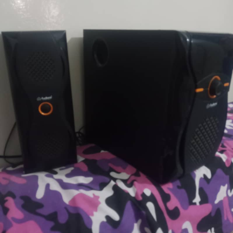 Audionic speakers 1