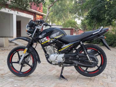 YAMAHA YBR 125 G 03313939676