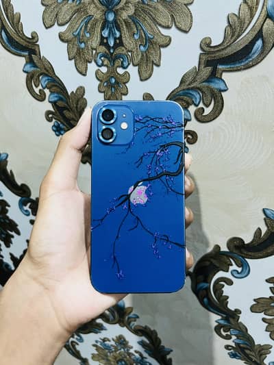 Iphone 12 Official PTA