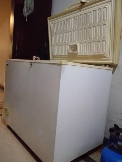 Waves Single Door Freezer
