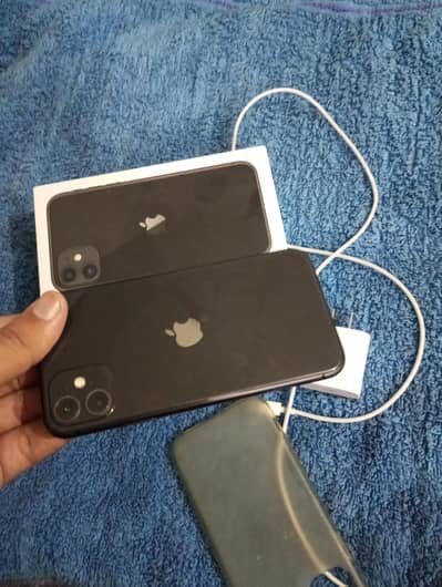 Iphone 11 pta approved