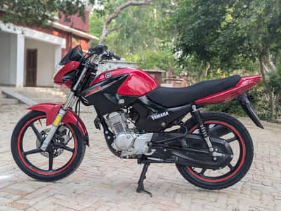 YAMAHA YBR ESD 03313939676