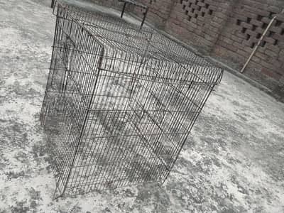 parrots cage 1.5 * 1.5  sale. 0301/ 9170/ 455