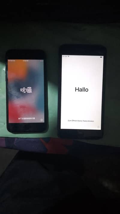 I phone 7 and 6 plus