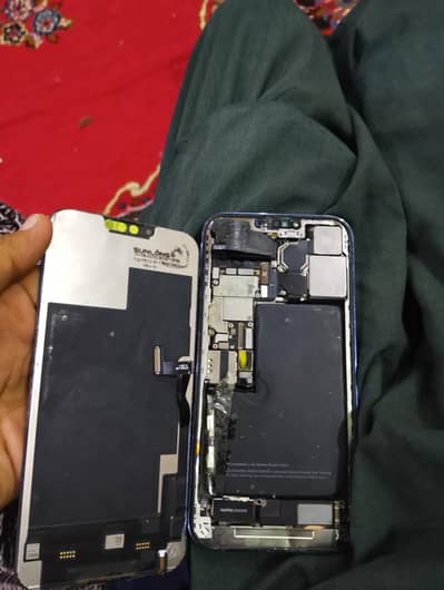 I phone 13 pro max penal ont working