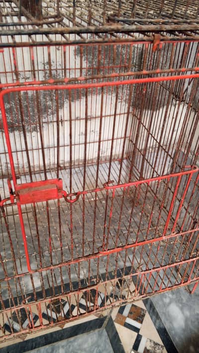 pinjra for birds