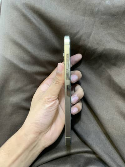 i phone 13 Pro max Golden colour