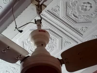 Roof Fan