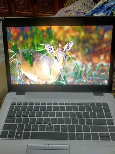 Laptop HP