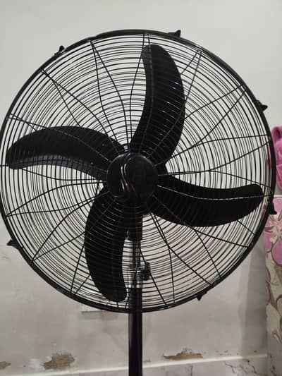 Pedestal fan for