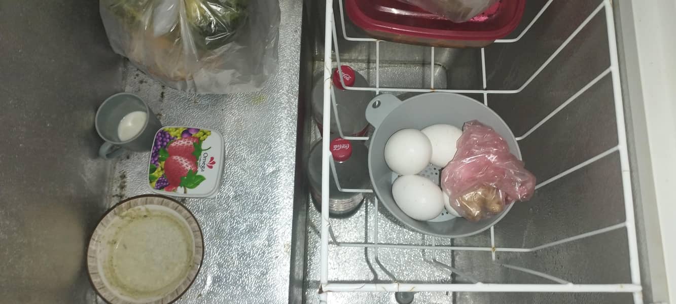 Freezer 4