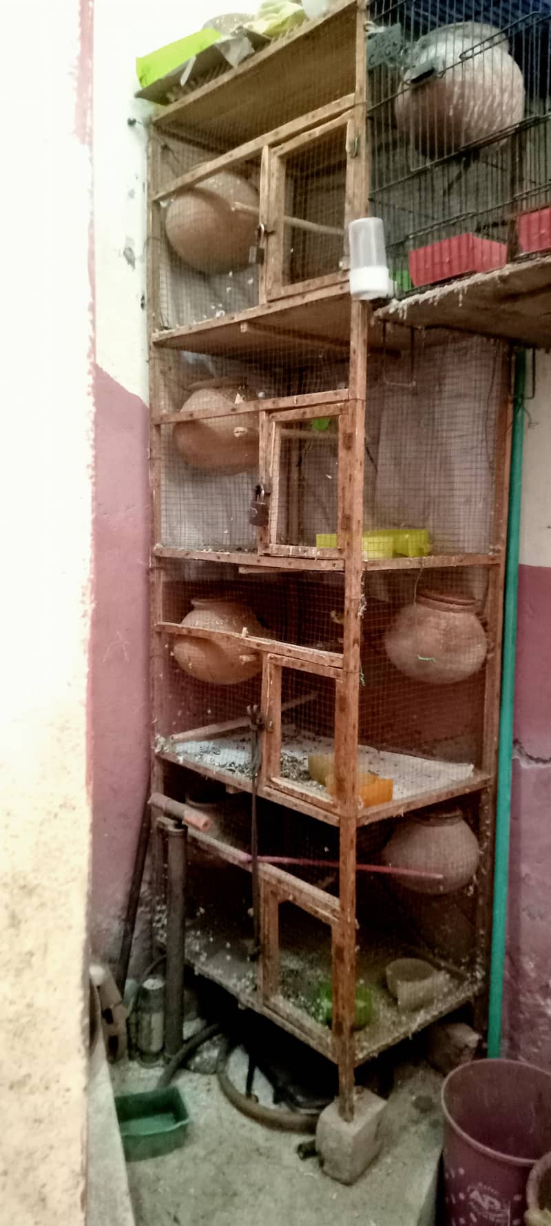 folding cage 3